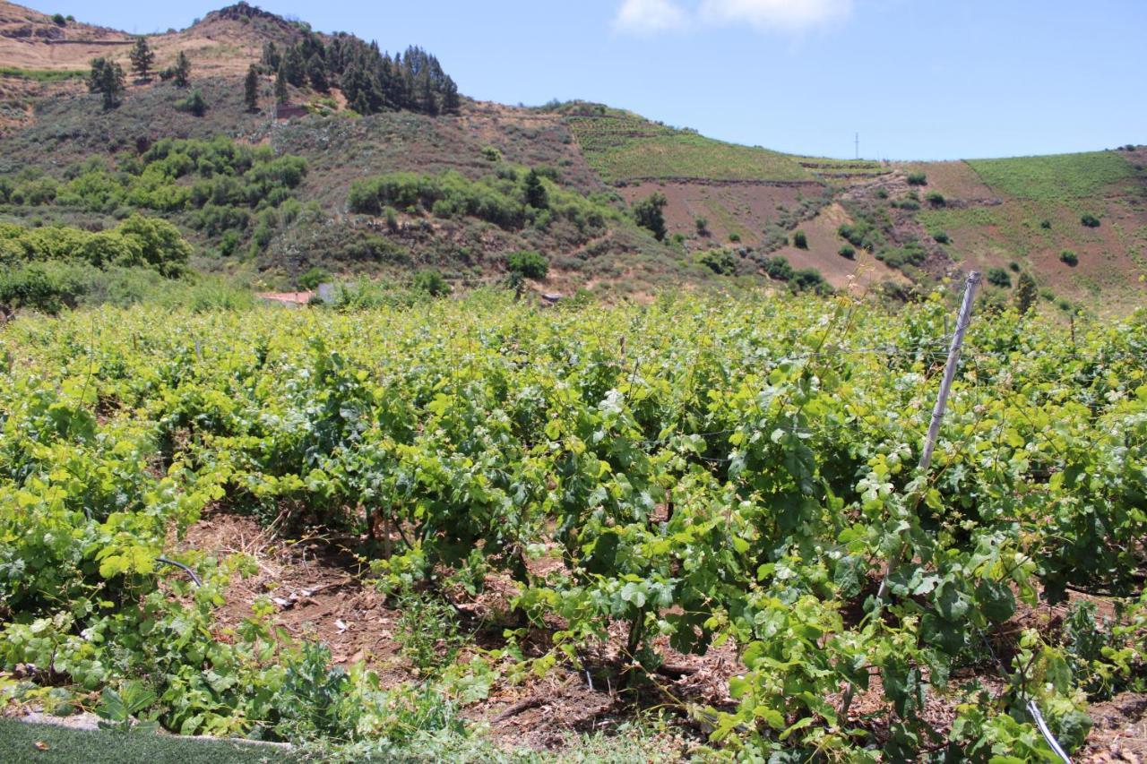 הוילה לאס פאלמס דה גראן קנאריה Finca El Cole מראה חיצוני תמונה