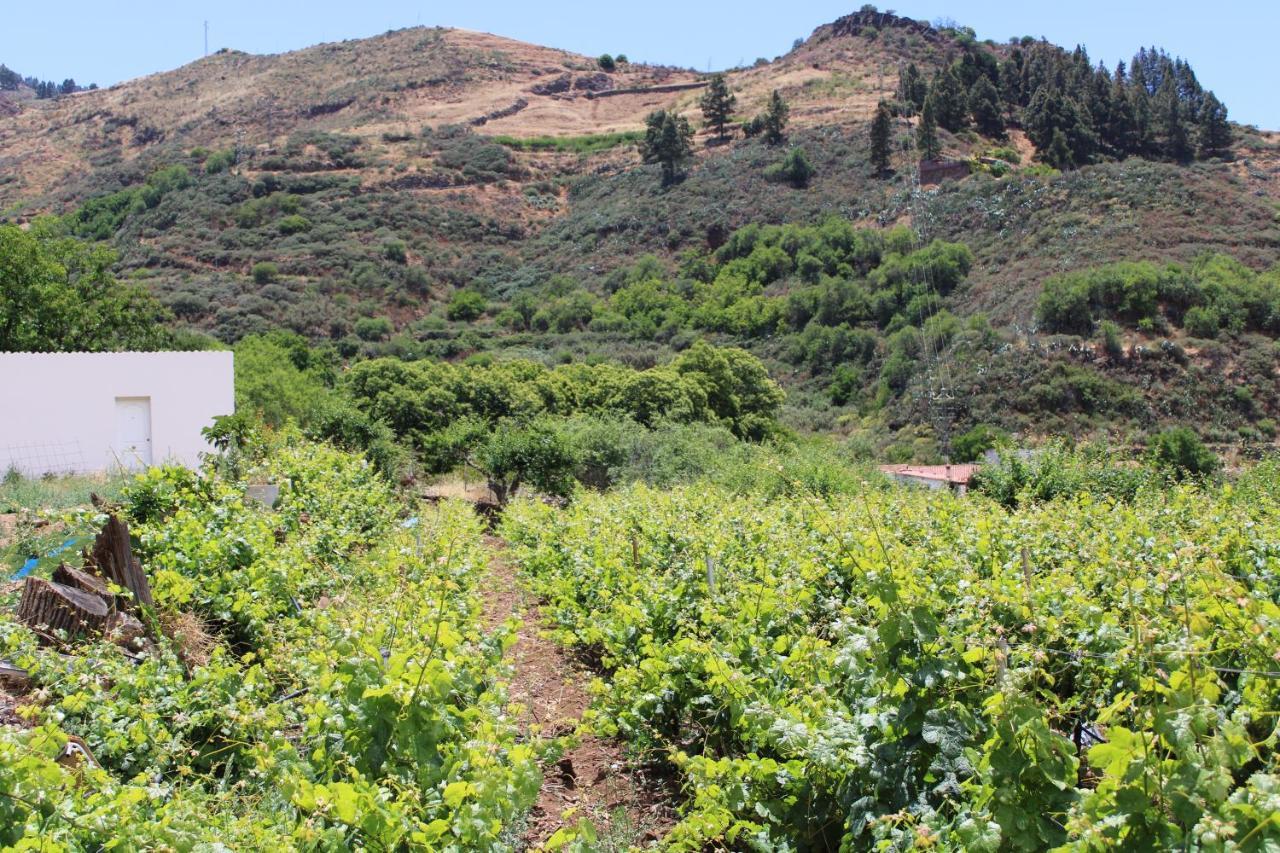 הוילה לאס פאלמס דה גראן קנאריה Finca El Cole מראה חיצוני תמונה